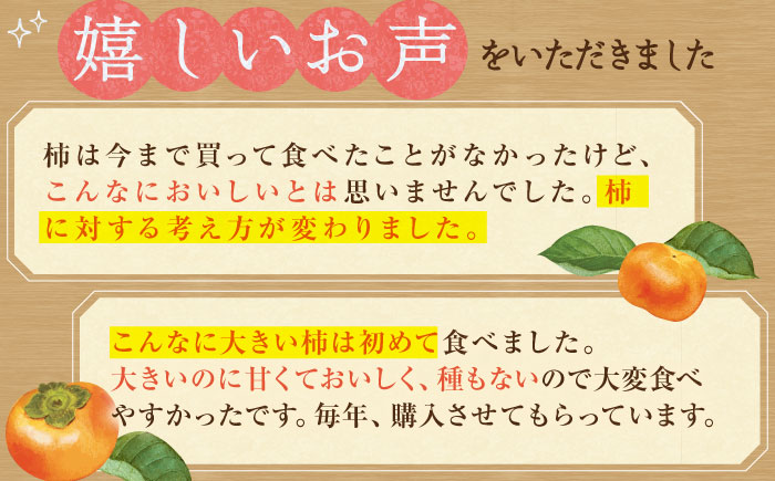 【10月下旬～11月下旬発送】種なし柿 太月・渋抜き柿 3kg【小林農園】 [HAX001]