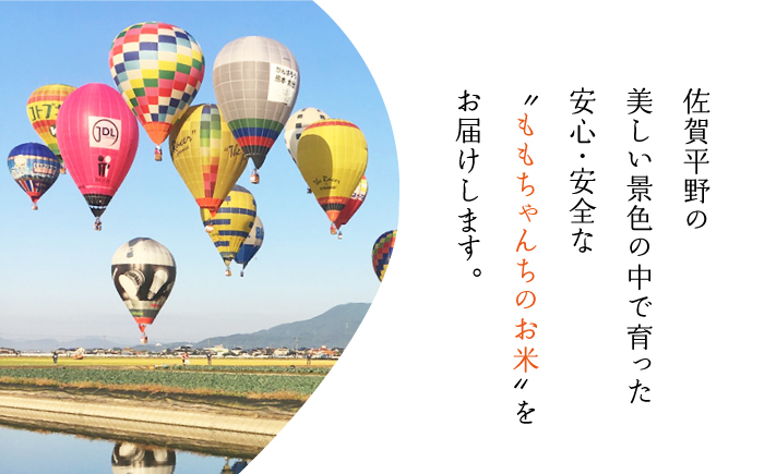 【全3回定期便】ももちゃんちのお米 さがびより 玄米 5kg【ももさき農産】 [HCG011]