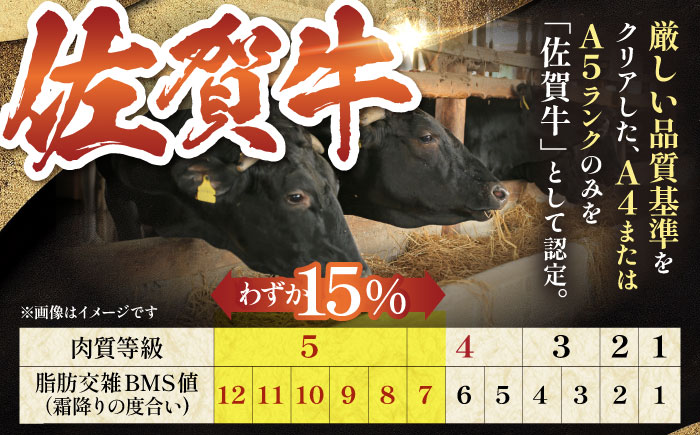 【12/20入金まで年内発送】佐賀牛 秘伝味付け カルビー（焼肉用）約300g【肉の三栄】 [HAA002]