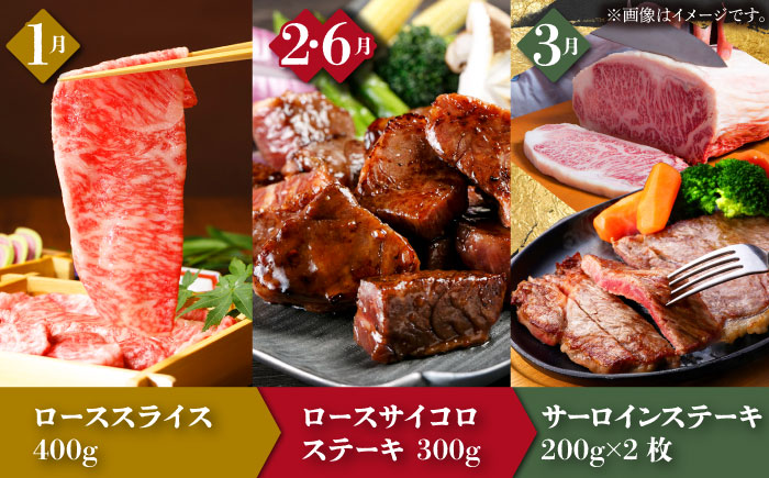 【全12回定期便】季節の佐賀牛定期便（2人前）【肉の三栄】 [HAA072] 牛肉