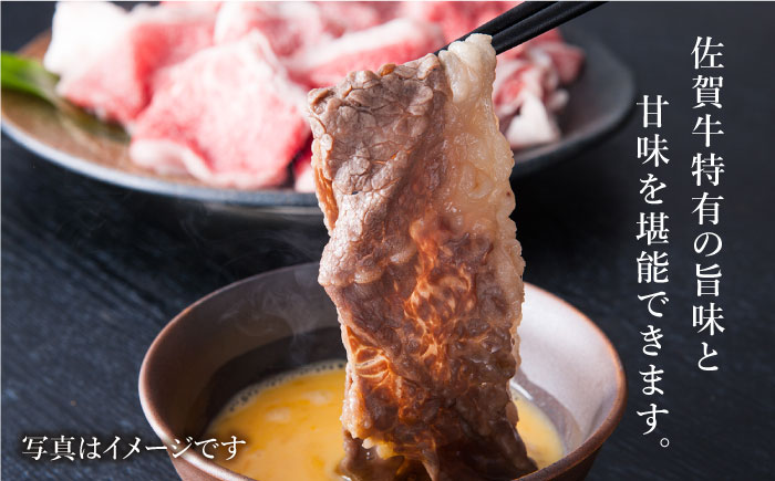 【全3回定期便】 佐賀牛 ミンチ ＆ 切り落とし【肉の三栄】 [HAA084]