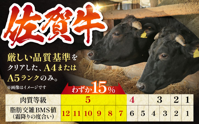 【最大6ヶ月待ち！】 佐賀牛 おっきい ハンバーグ（200g×10個）【肉の三栄】 A5 A5ランク 黒毛和牛 ハンバーグ [HAA133]