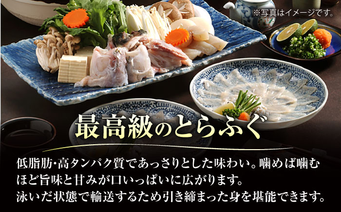 【年内発送】【泳ぐ・とらふぐ】フルコースセット [HAB002] 水産物