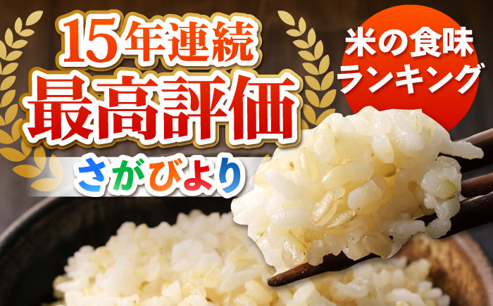 令和7年産 さがびより 玄米 10kg【ひなたむらのお米】[HAC004]
