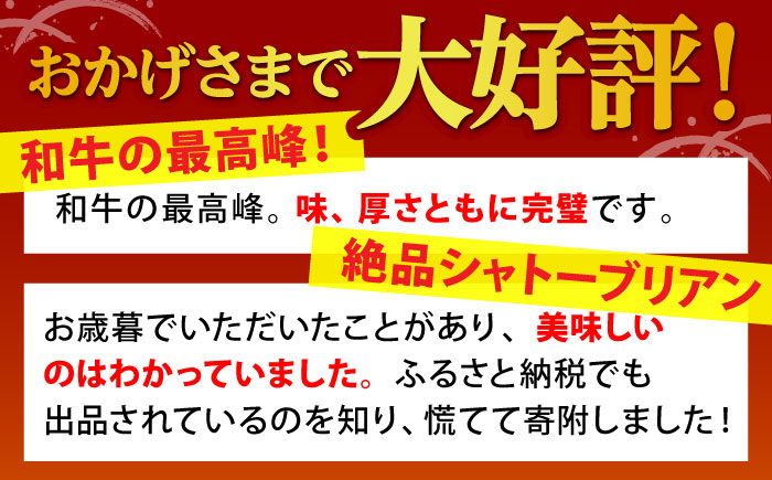 【最速発送】A5 佐賀牛 シャトーブリアン 400g（200g×2枚）【山下牛舎】 [HAD030]