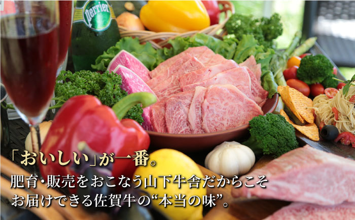 佐賀牛 A5 ロース 焼肉用 800g (400g×2パック)【山下牛舎】 [HAD051]