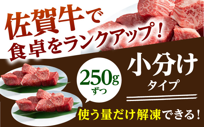 【全6回定期便】佐賀牛 ヒレ サイコロステーキ 500g(250g×2パック)【山下牛舎】 [HAD073]
