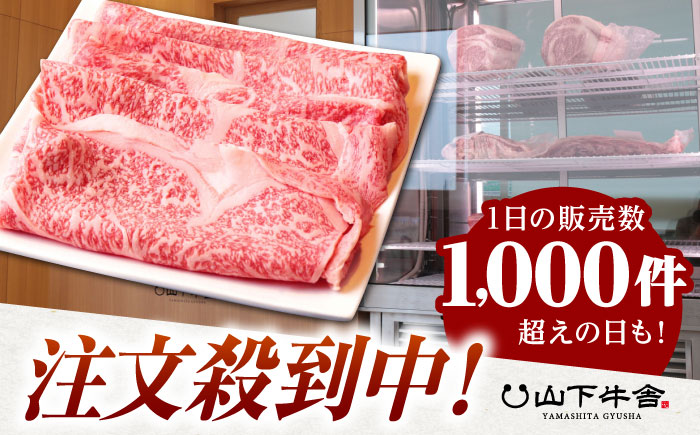 【全6回定期便】佐賀牛 リブロース スライス 500g（すき焼き用）【山下牛舎】 [HAD076]