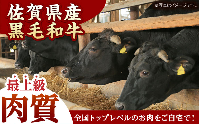 佐賀県産黒毛和牛ホルモン（味噌ダレ）500g【山下牛舎】 [HAD109] 牛肉