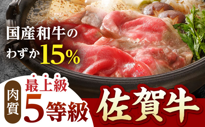 【全12回定期便】 4人前 佐賀牛 食べつくし定期【山下牛舎】 [HAD111] 牛肉