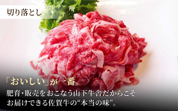 佐賀牛 おうちごはんセットA（切り落とし 500g・ミンチ 300g・牛すじ 300g）【山下牛舎】 [HAD120]