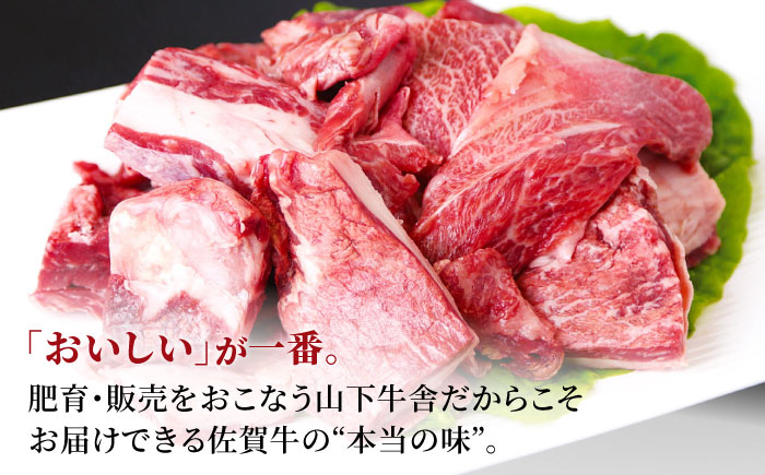 【全12回定期便】佐賀牛 牛すじ 600g（300g×2パック）【山下牛舎】 [HAD133] 牛肉