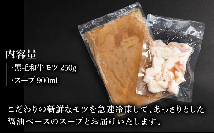 【冷凍発送】佐賀県産黒毛和牛 もつ鍋セット 2～3人前【山下牛舎】 [HAD135] 牛肉