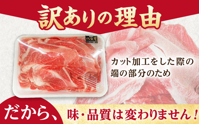 【訳あり】佐賀牛 スライスセット 1kg【山下牛舎】 [HAD149] 牛肉