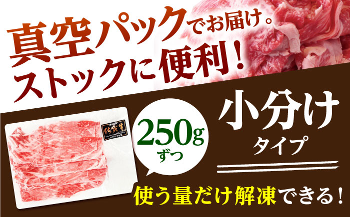 【全3回定期便】佐賀牛 切り落とし 500g （250g×2パック）【山下牛舎】 [HAD156]