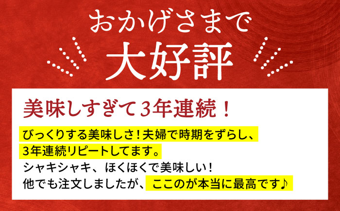 【12/15入金まで年内発送】【特別栽培農産物 認定】＜地元江北町産＞ 泥付き 蓮根 3kg【百武青果】 [HAE001]