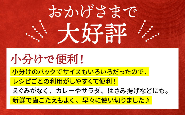 【先行予約】【特別栽培農産物 認定】＜地元江北町産＞佐賀 れんこんパック 10パック（250g×10パック）【百武青果】 [HAE016] 蓮根