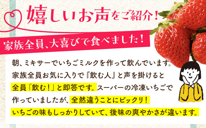 王様のいちご 摘みたてこおりいちご 1kg（冷凍いちご）いちごさん さがほのか【むらおか農園】 [HAF007]