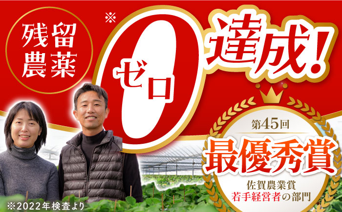 【2〜4月発送】朝摘みいちご1kg（いちごさん・さがほのか計4パック）【むらおか農園】 [HAF020]