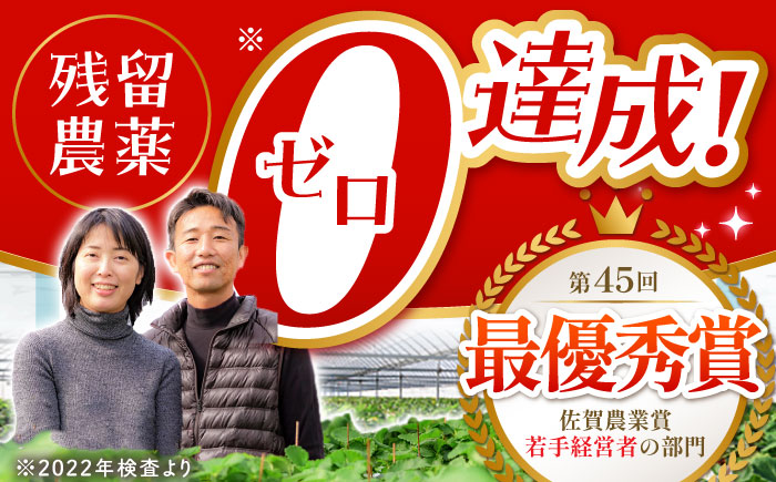 【先行予約】【全3回定期便】いちご食べ尽くし定期（さがほのか いちごさん こおりいちご）【むらおか農園】 [HAF027]