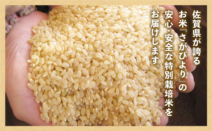安心・安全な佐賀の米】令和5年産 新米 特別栽培米 さがびより 玄米