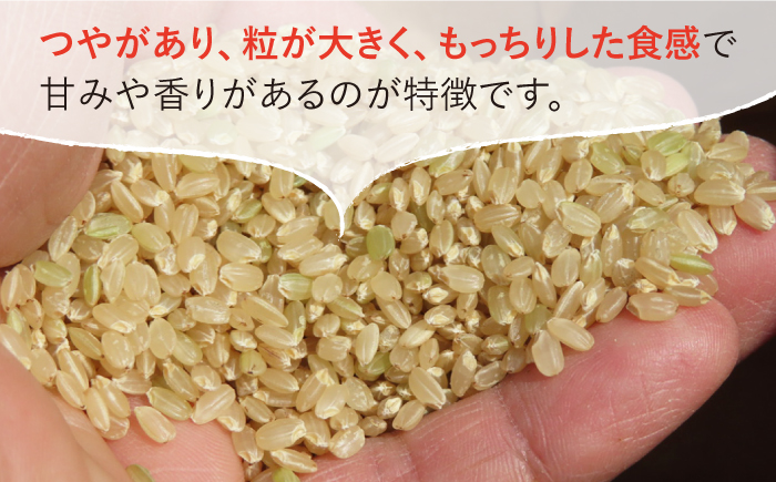令和4年産 玄米 さがびより 15kg【武富農園】 [HAH001]