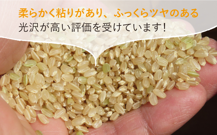 令和4年産 玄米 夢しずく 15kg【武富農園】 [HAH003]