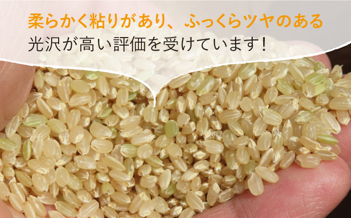 令和4年産 玄米 夢しずく 30kg【武富農園】 [HAH004]