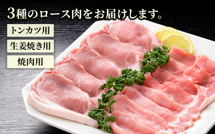 肥前さくらポーク 詰め合わせC【JAさが 杵島支所】 [HAM026] 豚肉