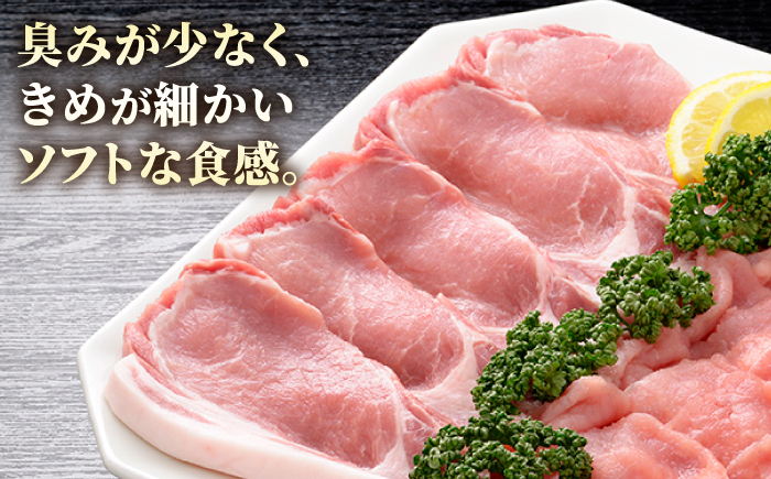 【12/15入金まで年内発送】肥前さくらポーク とんかつ用 10枚入り【JAさが 杵島支所】 豚肉 ロース とんかつ [HAM047]