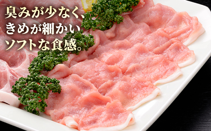 【12/15入金まで年内発送】肥前さくらポーク 生姜焼き用 1kg（500g×2パック）【JAさが 杵島支所】豚 豚肉 ロース しょうが焼き [HAM048]