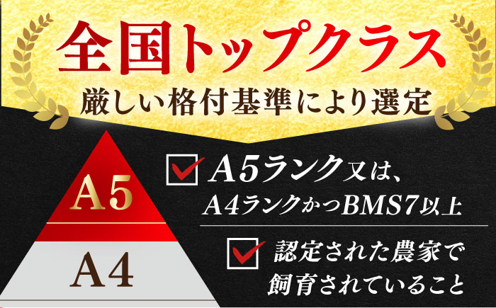 【12/15入金まで年内発送】しゃぶしゃぶ 食べくらべ セット B（佐賀牛・肥前さくらポーク）計1kg 【JAさが 杵島支所】牛肉 豚肉 [HAM076]