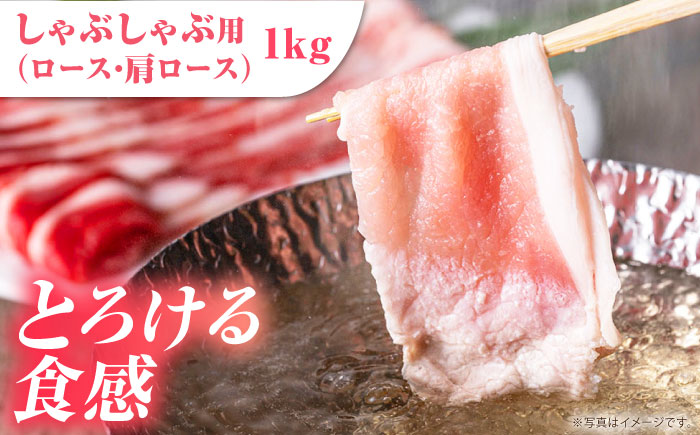 【全3回定期便】肥前さくらポーク 季節の定期便＜冬＞ 【JAさが 杵島支所】 豚肉 肉 定期 定期便 [HAM082]