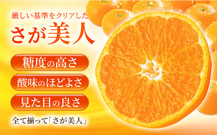 佐賀みかん （さが美人）5kg 【JAさが 杵島支所】 みかん 佐賀 温州みかん さが美人 [HAM086]