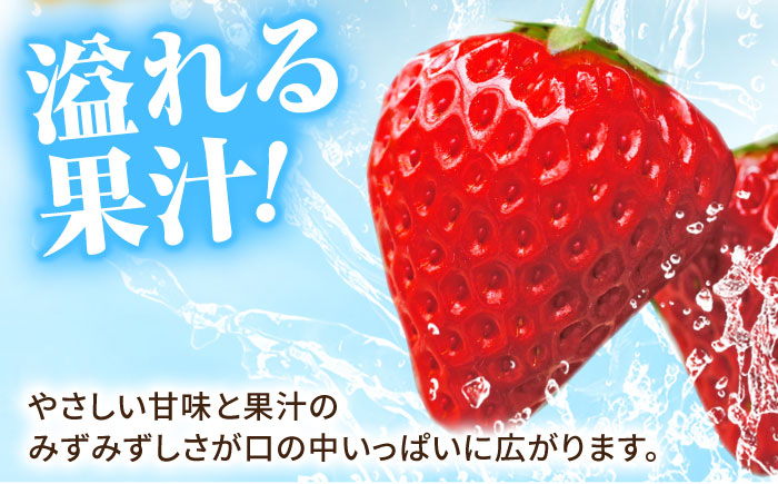 【1月～3月発送】いちごさん 240g×4パック 【JAさが 杵島支所】佐賀 [HAM087]