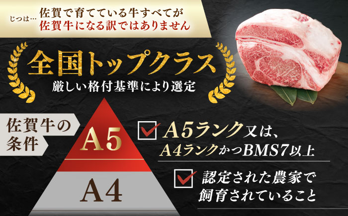 佐賀牛 焼肉セット B モモ バラ 約500g 【JAさが 杵島支所】 [HAM092]