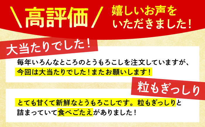 【先行予約】＜2026年6月中旬以降発送>スイートコーン ゴールドラッシュ 8本～10本【八丁屋】とうもろこし [HAO001]