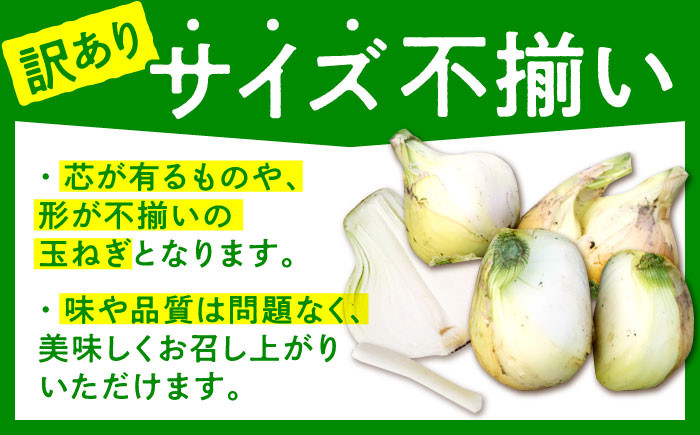 【先行予約】【訳あり】＜2026年3月下旬以降発送＞佐賀県産 玉ねぎ 10kg【八丁屋】新玉ねぎ 晩生 [HAO007]