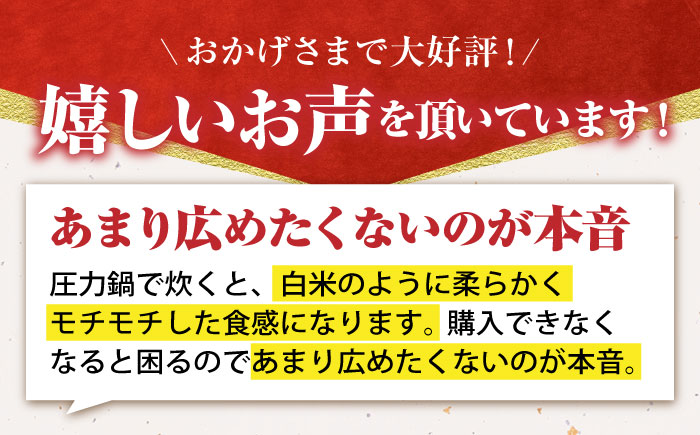 令和7年産 新米 ヒヨクモチ 玄米 15kg【かづやの農園】 [HAP006]