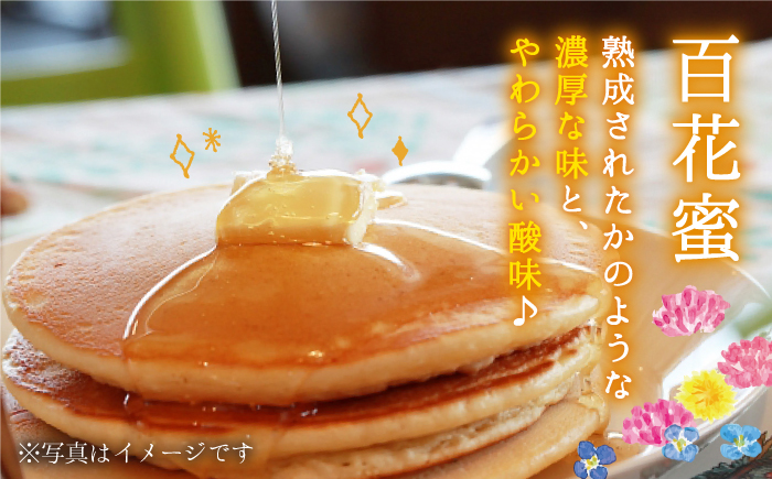 【先行予約】日本ミツバチの天然生はちみつ（百花蜜）200g【白木酒店】 [HAQ031]