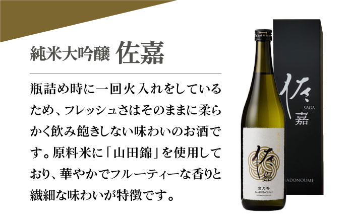 佐嘉 純米大吟醸 720mL×1本【白木酒店】 [HAQ034]日本酒
