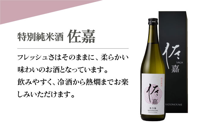 佐嘉 飲み比べセットB【白木酒店】 [HAQ036]日本酒