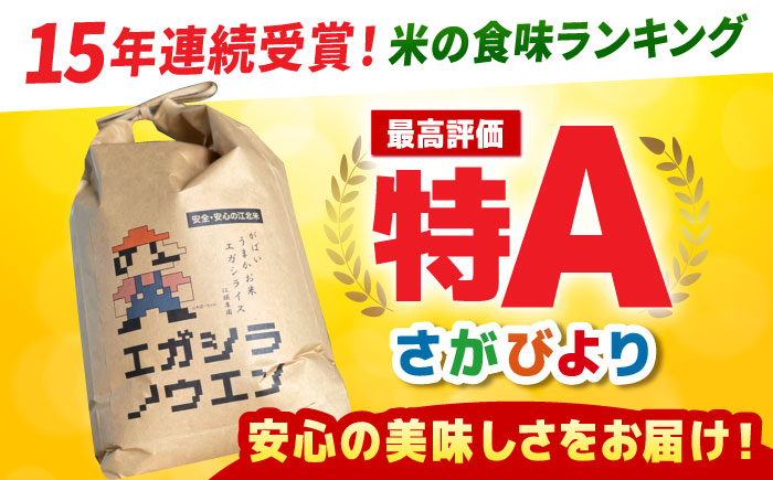 【全12回定期便】がばいうまか エガシライス（さがびより）玄米 10kg（5kg×2袋）【江頭農園】 [HAU008]