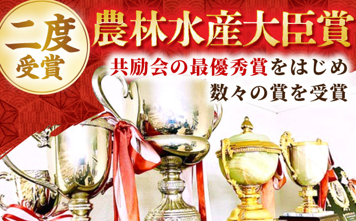 【12/15入金まで年内発送】【2度の農林水産大臣賞】佐賀牛 肩ロース スライス 300g【田中畜産牛肉店】 [HBH001]