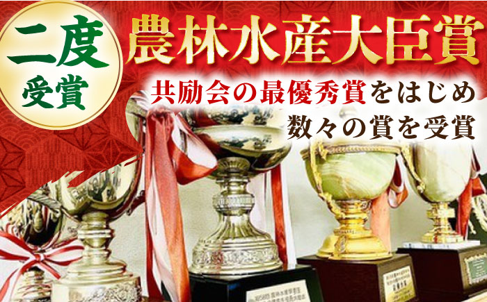 【全3回定期便】佐賀牛 肩ロース スライス 500g【田中畜産牛肉店】 [HBH012]