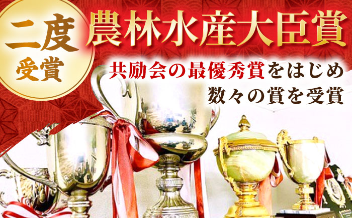 【全6回定期便】佐賀牛 プレミアム霜降り定期【田中畜産牛肉店】 [HBH026] 牛肉