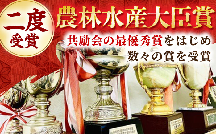 【全3回定期便】佐賀牛 ハンバーグ 5個セット【田中畜産牛肉店】 [HBH047]