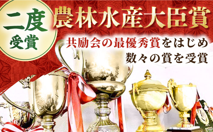 【全3回定期便】佐賀牛 赤身スライス 500g【田中畜産牛肉店】 [HBH059]