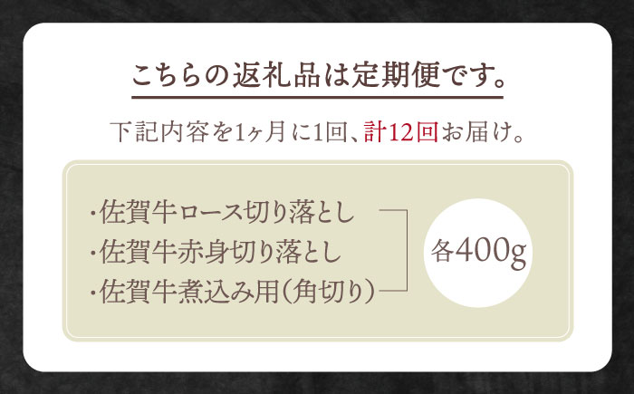 【全12回定期便】4人家族向け 佐賀牛 普段使いセットA【田中畜産牛肉店】 [HBH070] 牛肉