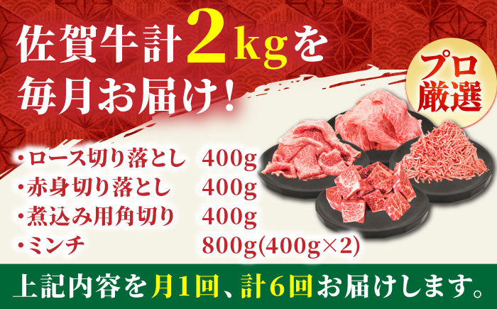 【全6回定期便】4人家族向け 佐賀牛 普段使いセットB【田中畜産牛肉店】 [HBH116] 牛肉